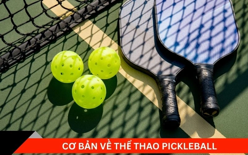 Thể Thao Pickleball Từ Sân Chơi Đến Cộng Đồng Đặt Cược 2 Cơ bản về thể thao Pickleball