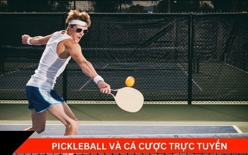 Thể Thao Pickleball Từ Sân Chơi Đến Cộng Đồng Đặt Cược 4 Pickleball và cá cược trực tuyến