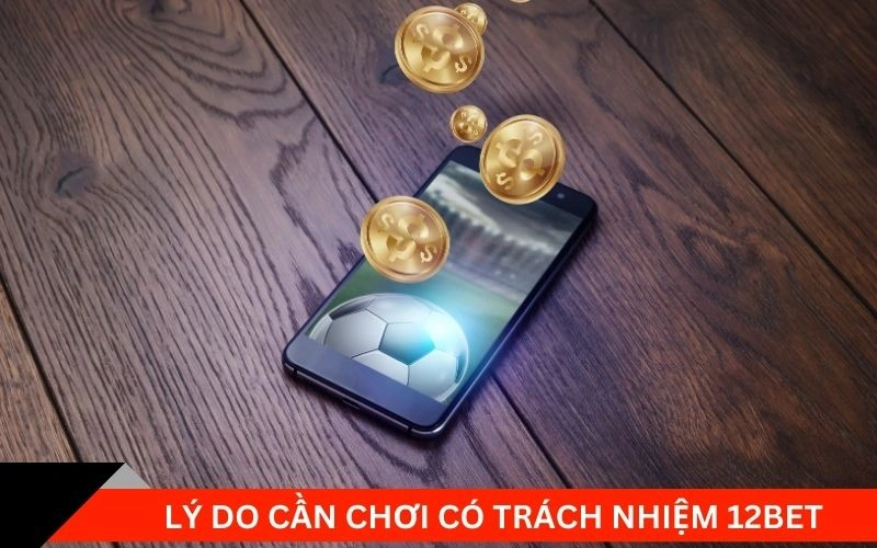 Lý do cần chơi có trách nhiệm 12bet