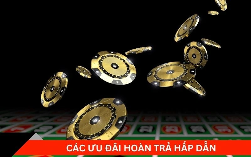 Các ưu đãi hoàn trả hấp dẫn 