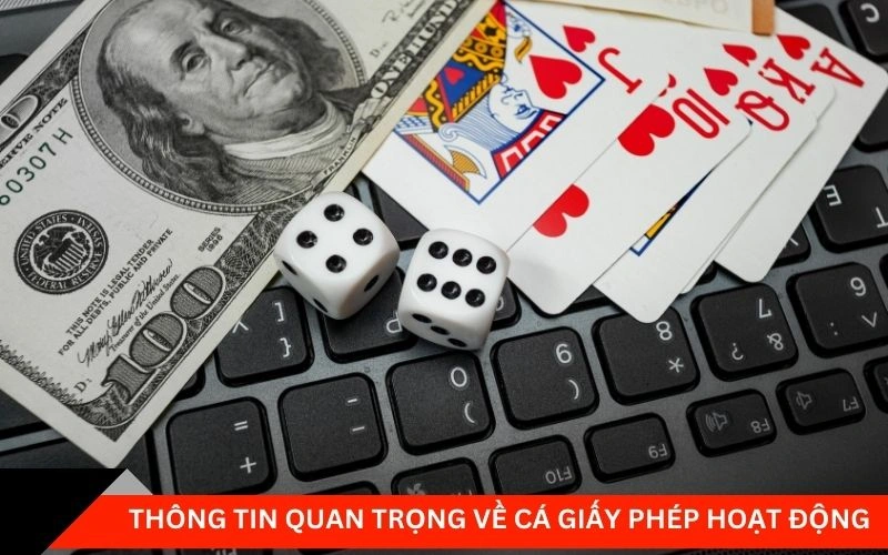 Thông tin quan trọng về cá giấy phép hoạt động 12bet