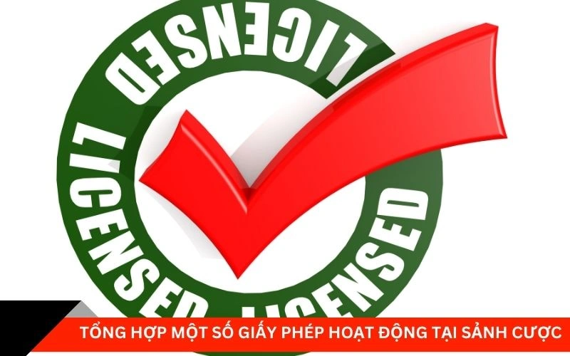 Tổng hợp một số giấy phép hoạt động tại sảnh cược